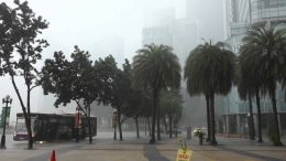 Rare typhoon-like storm hits Singapore